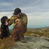 Gordon Setter