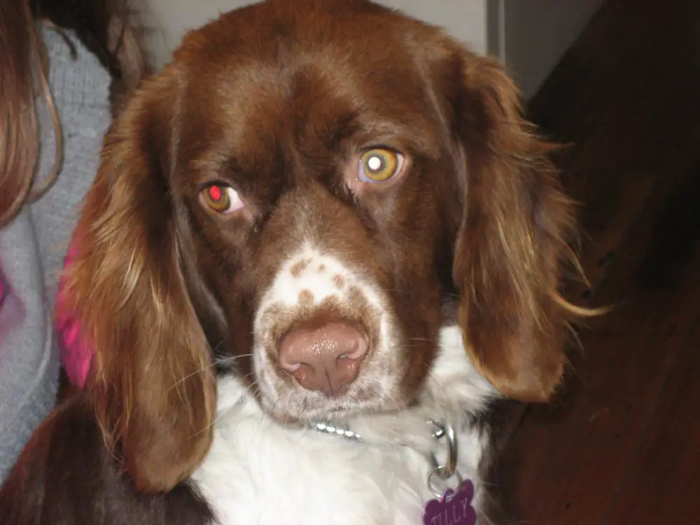 Tilly